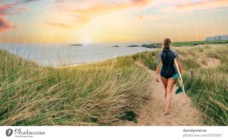 Surfer woman with wetsuit and surfboard walking along the path between the dunes towards the beach surfer young copy space coast sunlight sunset silhouette back