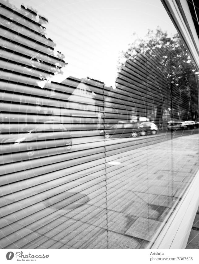Street scene reflected in a shop window with blinds down b/w car cars Parking trees houses Venetian blinds Car Parking spaces Town cityscape Footpath Transport