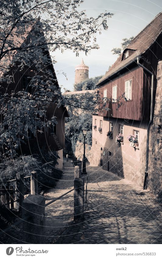 Steep lane Sky Spring Tree Leaf Twigs and branches Bautzen Germany Lausitz forest Small Town Downtown Old town Populated House (Residential Structure) Tower