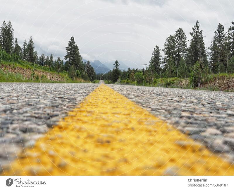 Country road taken from ground with yellow median strip Street Without traffic Deserted Yellow middle stripe Median strip Gray asphalt trees