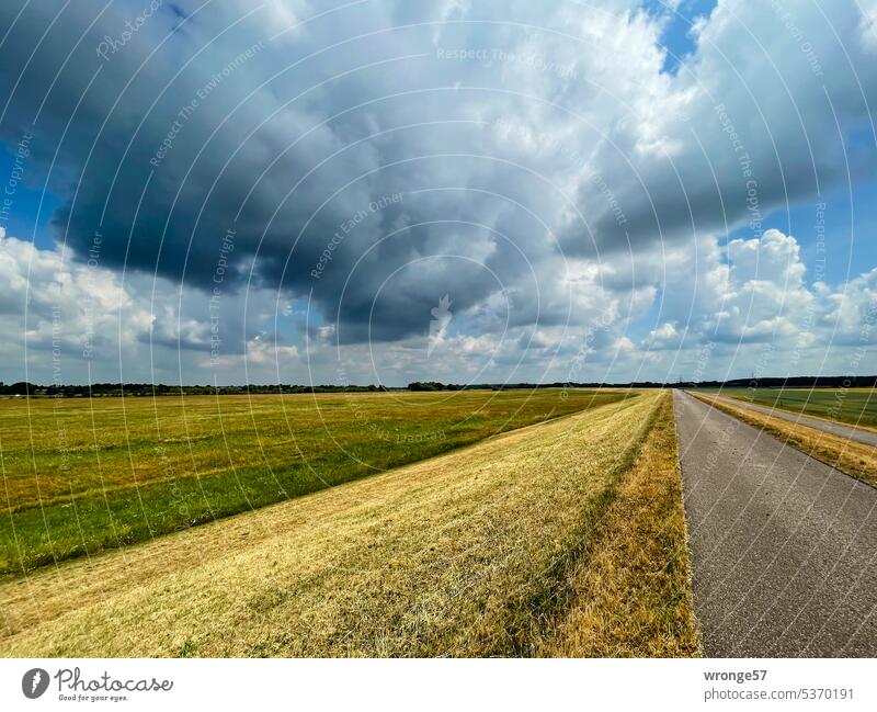 cycled | a part of the Elbe cycle path topic day Elbe Cycle Route River Dike dike top embankment foreland flood protection Flood protection dike Nature Grass