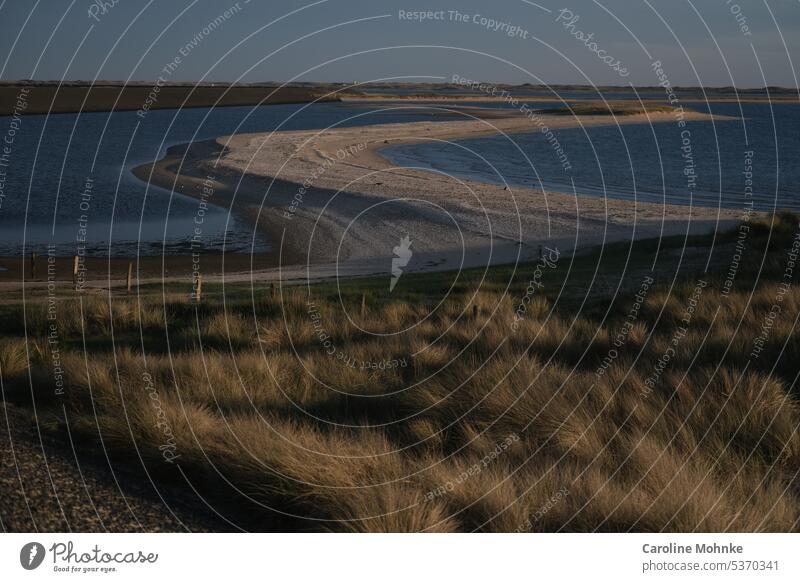 Early morning light on dike Nature Dike Sylt North Sea Ocean Beach Sand Vacation & Travel Deserted Summer Exterior shot Sky Beautiful weather coast Colour photo