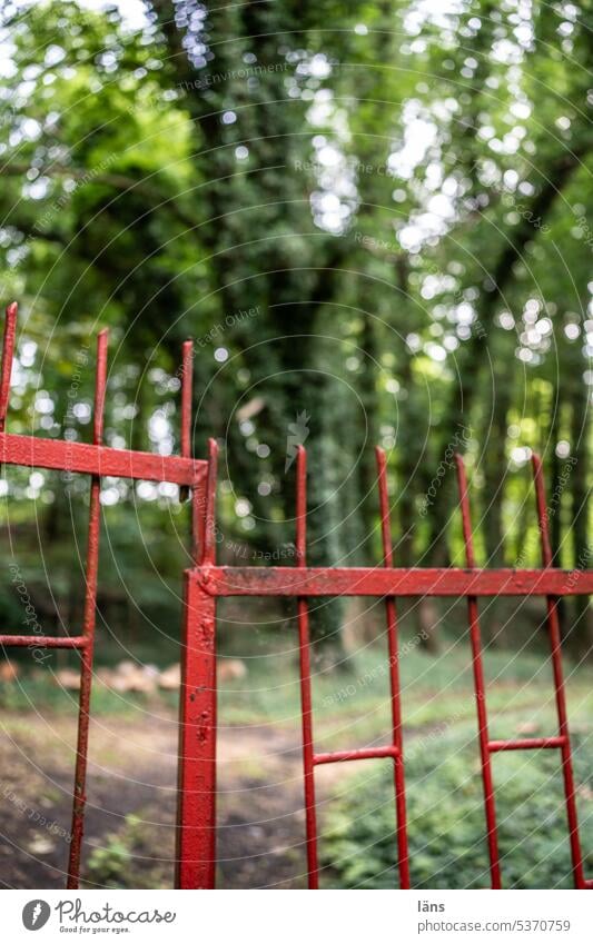 Gateway to Paradise? gate Forest Deserted Exterior shot Paradise lost cordon Nature Colour photo Summer Green Landscape trees