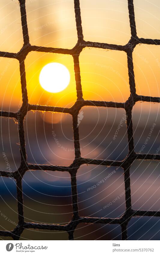 The sun captured Sun Net Sunset Back-light Exterior shot Deserted Network Structures and shapes Capture