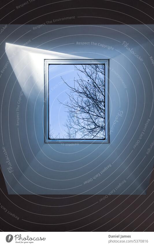 Sunlight through skylight under winter branches Blue Sky Blue sky Sky blue Window Skylight Roof Ceiling House (Residential Structure) Architecture Looking up