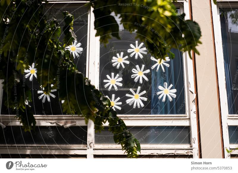 Window of a school with handmade flowers on the pane School Study Learning site Education promotion come into bloom Know Infrastructure Educational mission