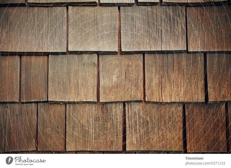 shingles Wood Close-up naturally Wood grain lines interstices Brown Exterior shot Deserted Colour photo Detail Pattern