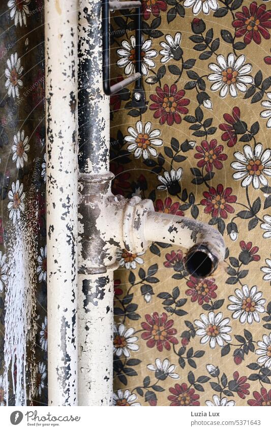 Pipes with peeling paint in front of retro wallpaper... reeds conduit Flake off flaking paint Old Ravages of time Transience Decline Structures and shapes