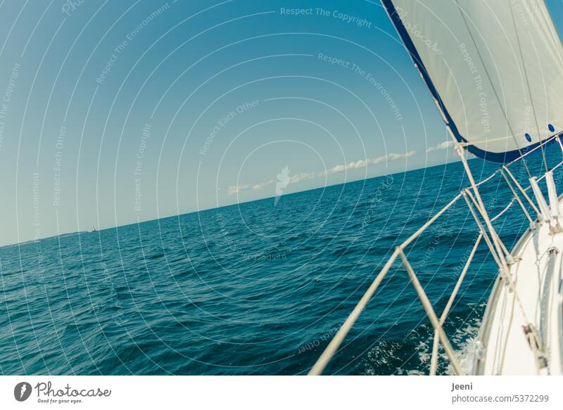 Sailing with inclination Sailboat Baltic Sea Water Blue obliquely slanting tilted position Inclined position Ocean Vacation & Travel Sailing ship Freedom