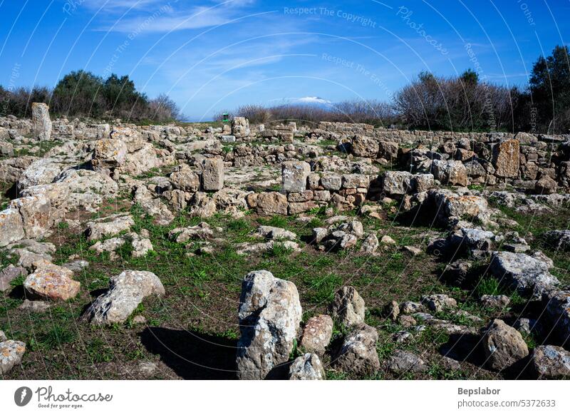 Morgantina North Baths archaeology ruin site italy old agora archaeologic enna greek italian architectural tour tourism island europa carthaginian history