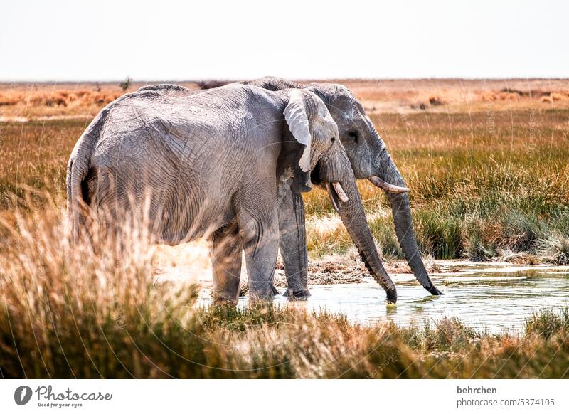 friday, yeah, let ma fill up nicely!!! - a Royalty Free Stock Photo from  Photocase