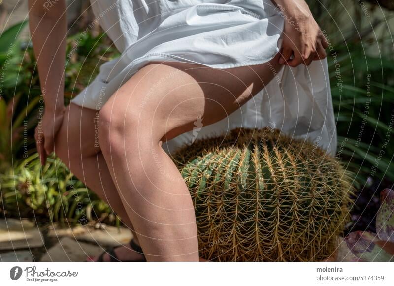 Woman wants to seat on big cactus with needles prickly skin pain succulent thorn white pricking hurt injury endurance trauma damage discomfort fingers menstrual