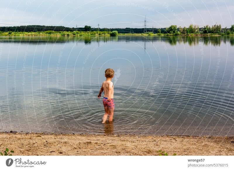 Boy stands in the water of a gravel lake and hesitates a little before bathing gravel pit Swimming lake Bathing place Boy (child) Rear view Lake Water Summer
