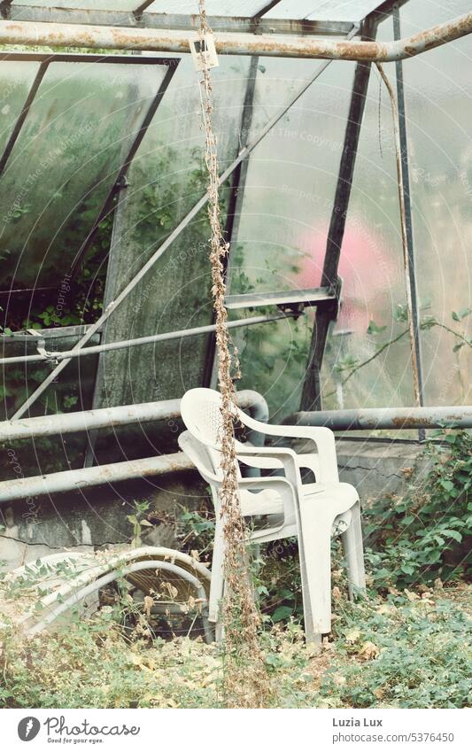 View into an old greenhouse.... some plastic furniture left behind Pane Glass Plant Nature Market garden Greenhouse do gardening Garden Light Bright Slice