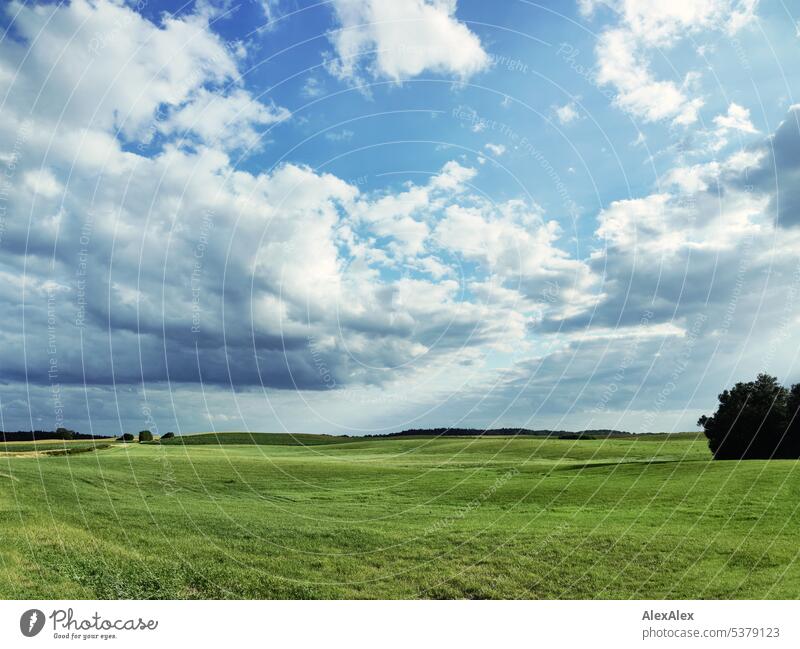 Dramatic clouds over pasture landscape with tree and forest on horizon. Clouds dramatic clouds heavy clouds Landscape Northern Germany Meadow plants Green