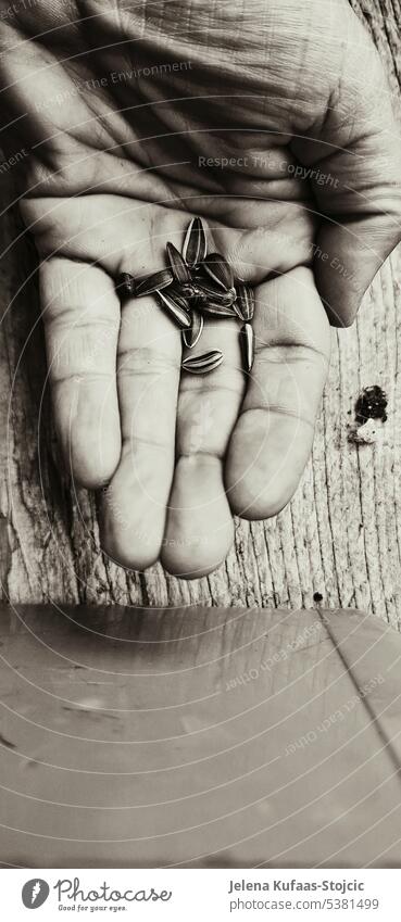 Holding a small amount of sunflower seeds in arched hand. Holding in hand Sunflower seeds b/w photography Black & white photo Curved hand Nature Birdseed
