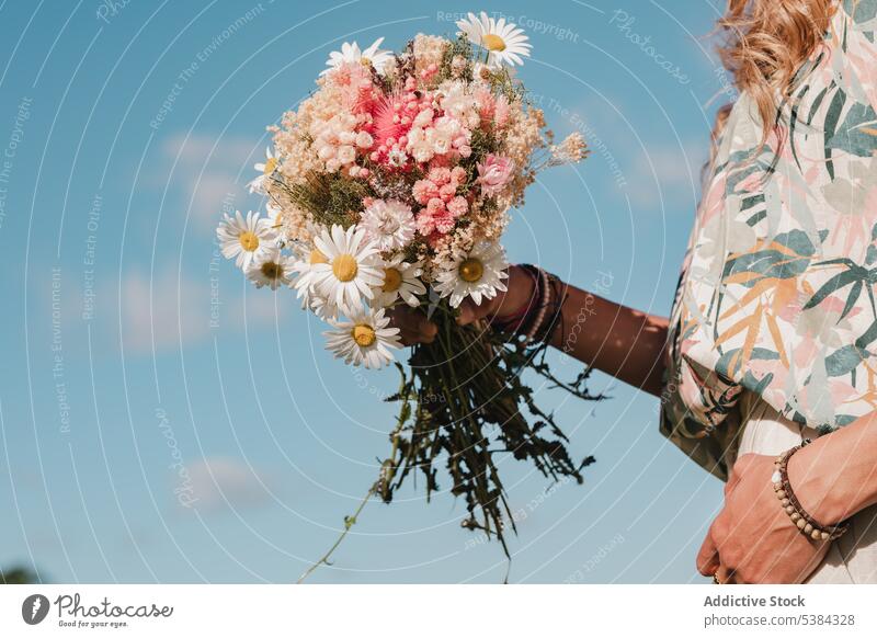 Woman with chamomiles in hands woman daisy flower bouquet bunch spring bloom summer vacation female wildflower blossom fresh field nature green white floral