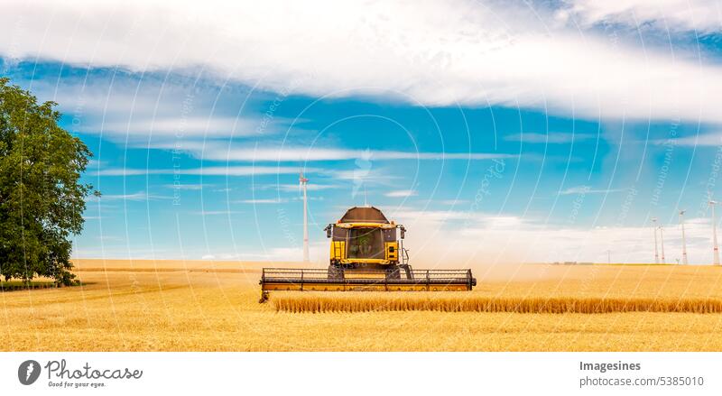 Grain harvest. Combine harvester in operation on wheat field. Harvesting process. Agricultural machinery Deployment Wheatfield Process agricultural field