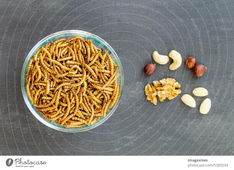 Snack insects. Mealworm larvae as food and variation of nuts. Mealworms, crustaceans Tenebrio molitor, freeze-dried for nibbling. Roasted worms. Roasted mealworms. Animal snack concept