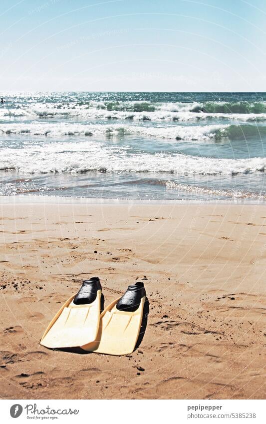 flippers Swimming flippers Vacation & Travel vacation Summer Beach Ocean Water Sand coast flowed Tourism Deserted Colour photo Sandy beach Exterior shot