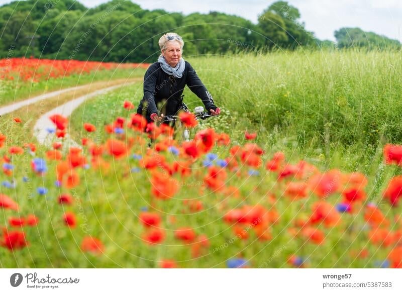 Let's celebrate Poppy Day | Woman riding her bike along a blooming poppy field with a smile on her face Poppy field poppy flower Poppy field in bloom Summer