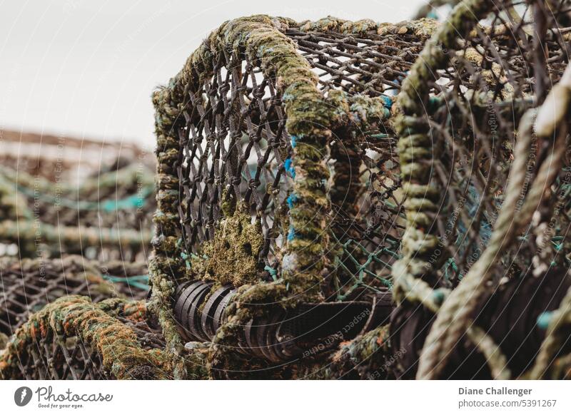 Go catch them! #crab#nets#fishing#sea#fisherman#boats#crabbing Fishing net Fishing boat Net Ocean Fishing village