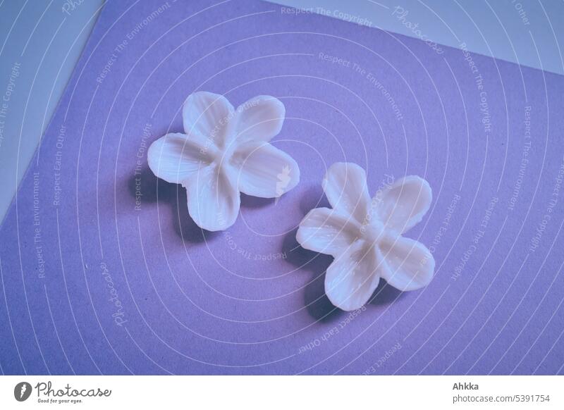 Two carved soap flowers on purple background Blossom White Soap Graven Violet Flower Artificial Fresh Clean 2 twins Equal Couple pretty Cosmetics Craft (trade)