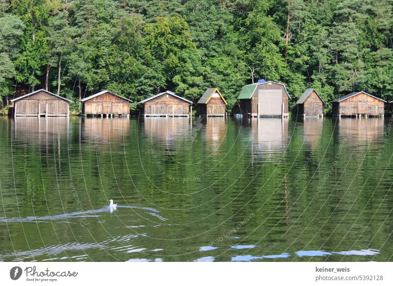 Wooden boathouses built on the Mecklenburg Lake District on the banks of the Müritz River Boathouses Mecklenburg-Western Pomerania Water Germany Landscape