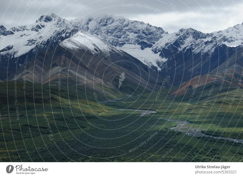 Alaska | Denali National Park | River course in majestic expanse and first snow on the mountains Snowcapped peak Mountain mountain and valley wide Peak