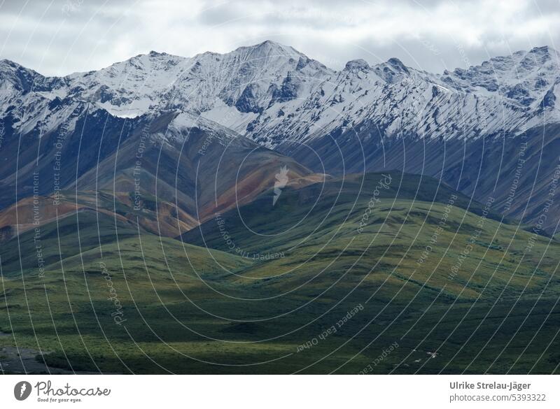 Alaska | Denali National Park | majestic expanse and first snow on the mountains Snowcapped peak Mountain River River course mountain and valley wide Peak