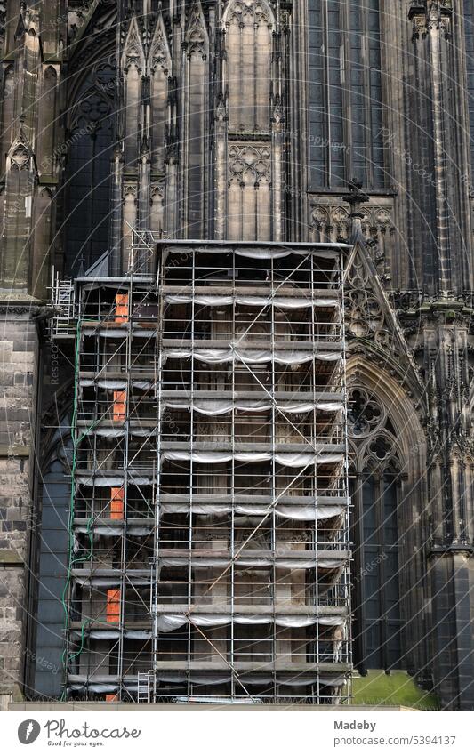 Facade of Cologne Cathedral in Gothic style with scaffolding for renovation work on the Cathedral Square in Cologne on the Rhine in North Rhine-Westphalia, Germany