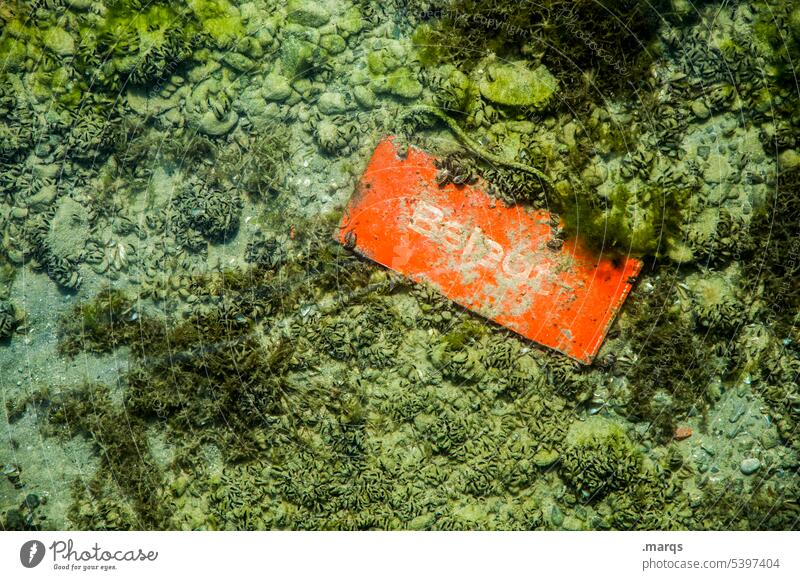 documented Underwater photo Bottom of the sea Signs and labeling Characters Coated Ocean Lake Whimsical Environment Nature nature conservation