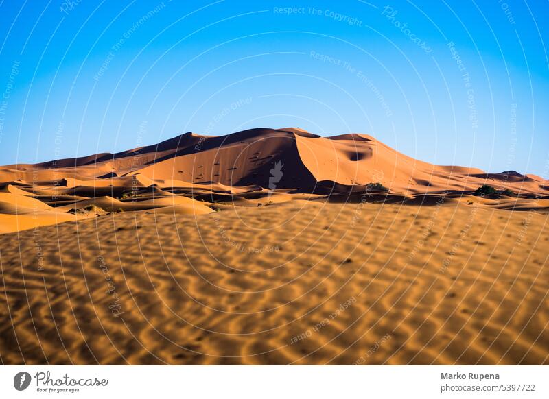 Sand dunes in Sahara desert during the sunny day with the blue sky - a  Royalty Free Stock Photo from Photocase