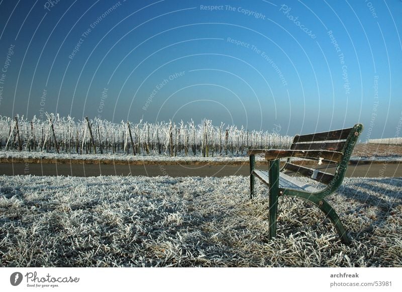 A morning in Baden Hoar frost Vineyard Meadow Park bench Calm Winegrower Tourism Sky Relaxation Germany Bench Frost Mountain Sit Swimming & Bathing Landscape