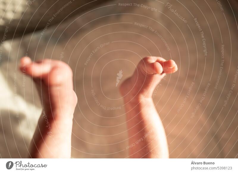 The tiny legs and feet of a premature newborn baby, seen subjectively, as they move in the warm air of home view little feet little fingers tenderness at home