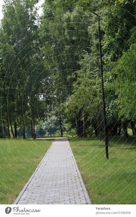 photo road in the park with trees for walking way path nature landscape grass green foliage summer trail footpath outdoors wood forest garden peaceful tranquil