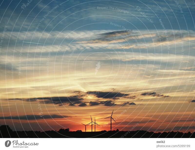 Calibration Energy industry Sunset Sunlight Twilight Evening Deserted Exterior shot Colour photo Wind turbines Rotate Unwavering Dependability Force Success