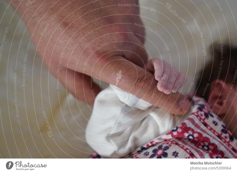 Dad holds your hand - for life Baby Child Toddler Hand Fingers Small Human being Close-up Detail Colour photo Infancy 1 0 - 12 months Interior shot Day Cute