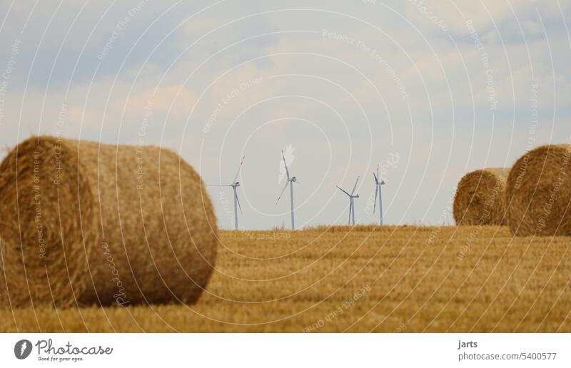 Harvest vs. wind power round bales Field Agriculture Nature Grain Nutrition Summer Environment Ecological Landscape Growth Feed Straw Wind energy plant stream