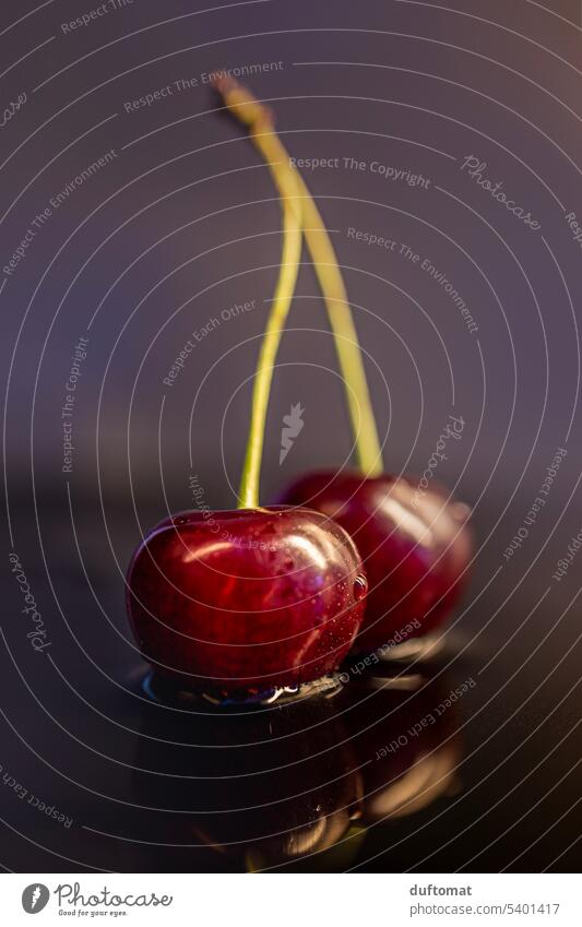 two cherries on water level Cherry double Twin Water Wet Fruit 2 Reflection Nature Macro (Extreme close-up) Detail Glittering plant fruit Harvest studio