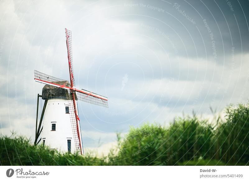 old windmill in nature Windmill Old Mill Historic Vacation & Travel Sky Landscape Grand piano grinder Nature