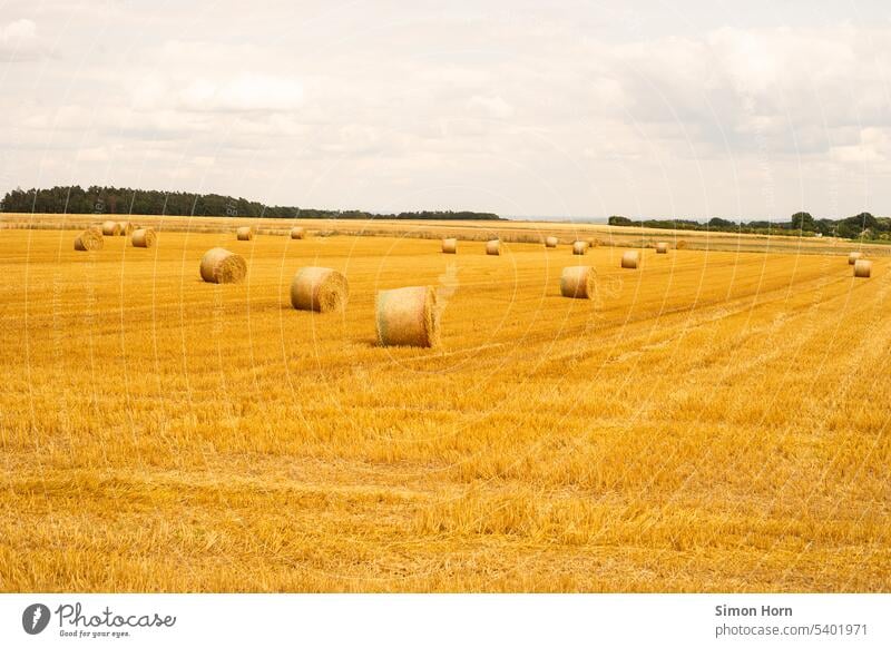 Straw bale on a mowed field Bale of straw Field Harvest Feed Agriculture Nutrition Grain Horizon Yellow Agricultural crop yield Food Basis Grain field