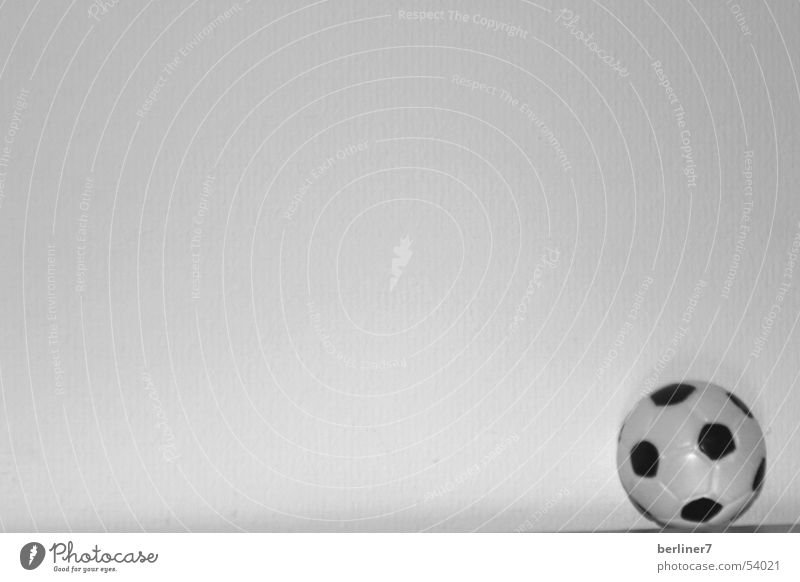 he just wants to play... Leather Black White Ball Contrast Neutral Background Bright background 1 Round Foot ball Copy Space top Copy Space left