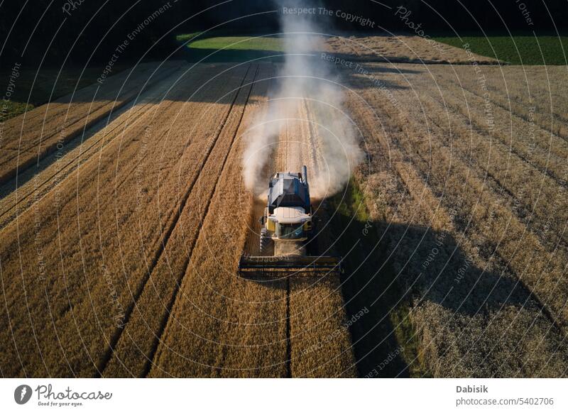 Combine harvester working in agricultural field. Harvest season combine harvester harvesting rye agronomy barley aerial wheat food summer landscape autumn farm