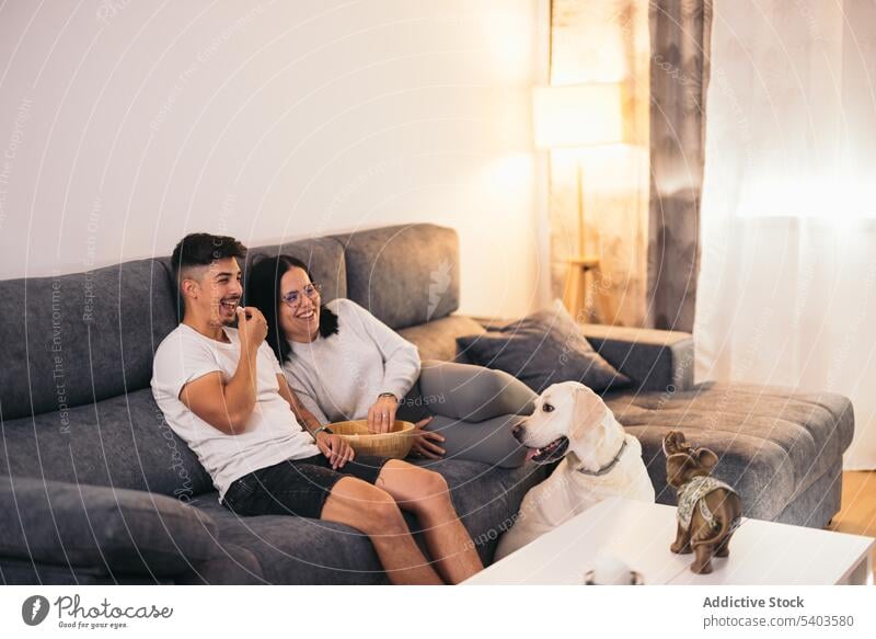 Smiling couple at home watching movie with dog apartment caucasian comedy comfortable date daytime eating enjoy film flat fun girl house indoor lady living room