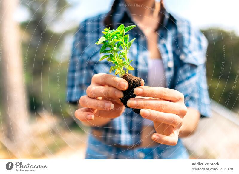 Unrecognizable woman with potted plant countryside seedling garden gardener positive casual friendly nature young female flora optimist appearance carefree