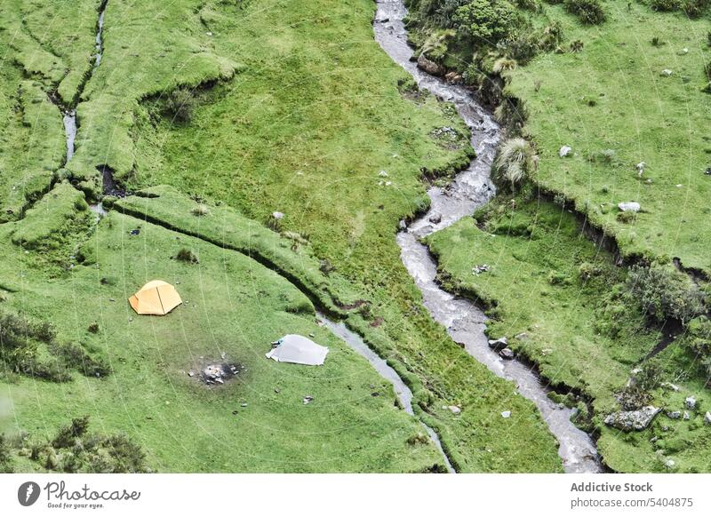 Camping tents on grassy terrain near flowing water stream campsite forest tree summer environment nature countryside colorful plant creek green flora bright