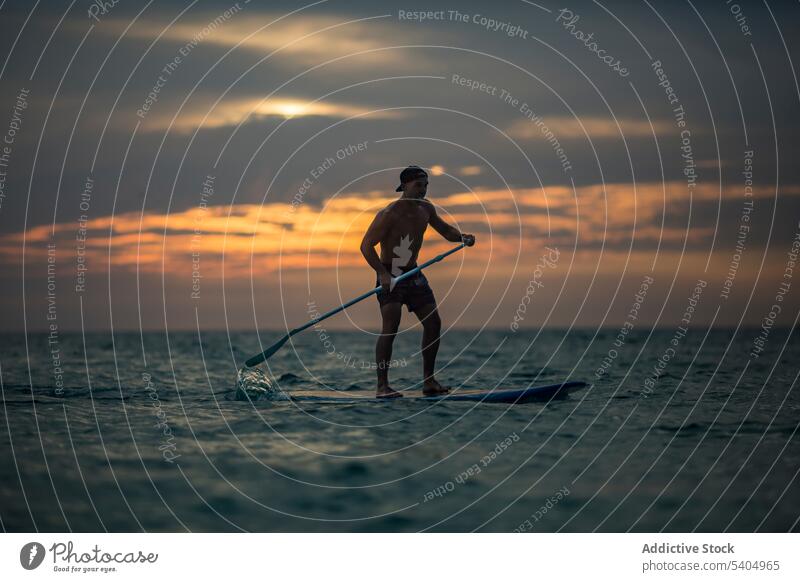 Active male surfer balancing on standup paddleboard in sea man stand up sport fit sunset nature activity cloudy hobby sundown water shirtless twilight ocean