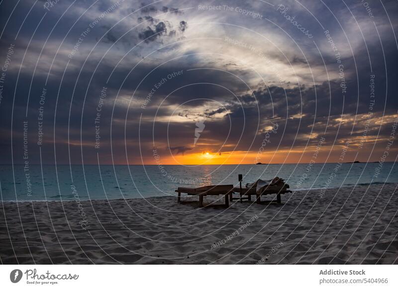 Empty deck chairs near calm sea at beach during sunset deckchair sand nature scenery sky picturesque ocean seascape sundown coast cloudy endless peaceful