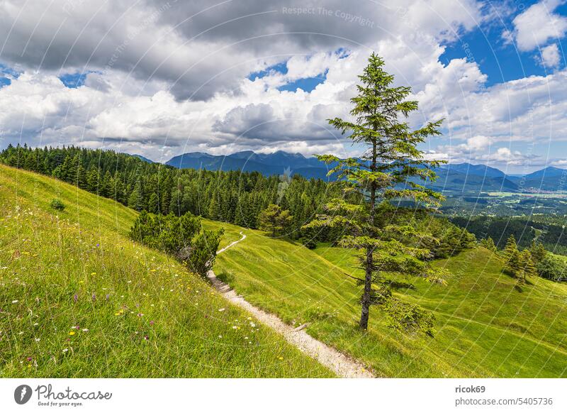 View from the Hoher Kranzberg to the Estergebirge near Mittenwald Alps mountain Karwendel Ester Mountains Krottenkopf Mountains Bavaria High Kranzberg Landscape